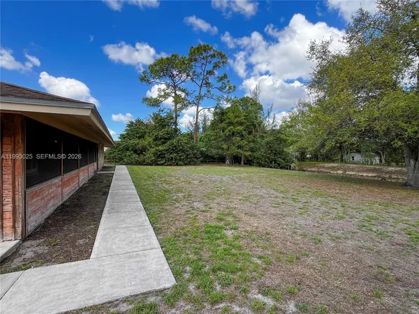 a view of a backyard with large trees