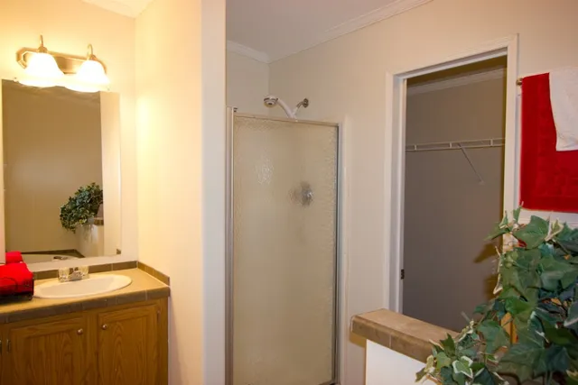 a bathroom with a sink a mirror and a shower