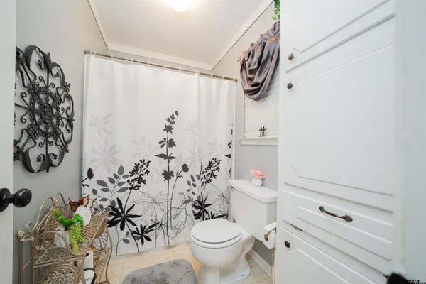 a bathroom with a shower curtain and a toilet