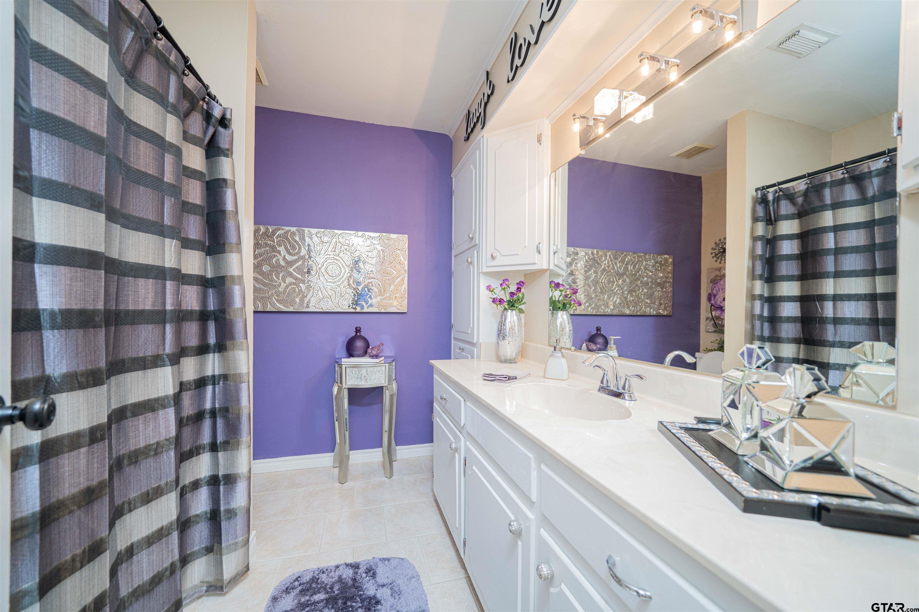 209 Cheryl Street Longview, TX 75604 - Photo 20 of 41 a bathroom with a sink a vanity and a mirror