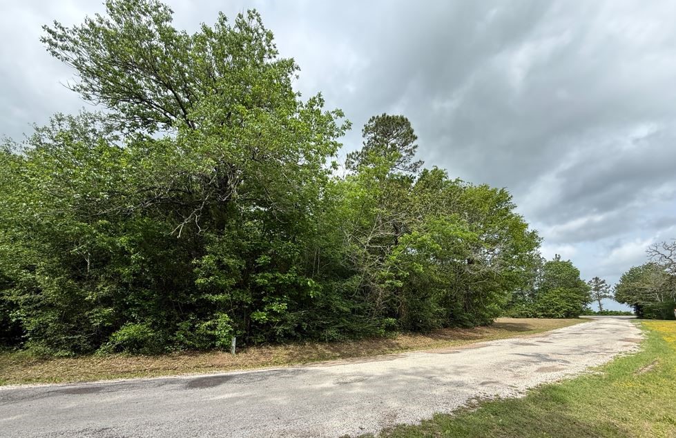 1374 West Rd Huntsville Tx 77340 Road Huntsville, TX 77340 - Photo 2 of 9 VIEW FROM BALL ROAD