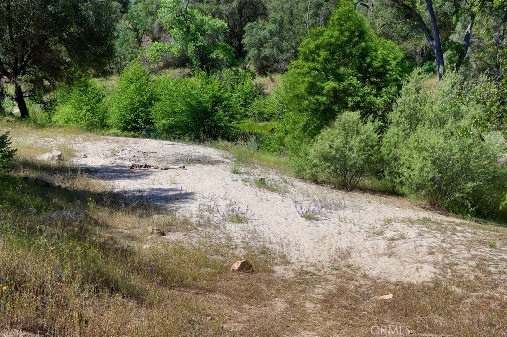 80 Polk Ranch Road Coarsegold, CA 93614 - Photo 4 of 31 Your own Beach overlooking the River.