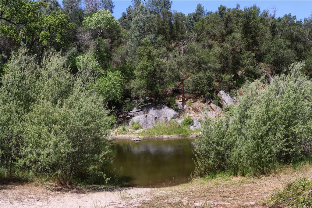 80 Polk Ranch Road Coarsegold, CA 93614 - Photo 5 of 31