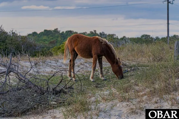 $165,000 | 574 Live Oak Court, Corolla, NC 27927