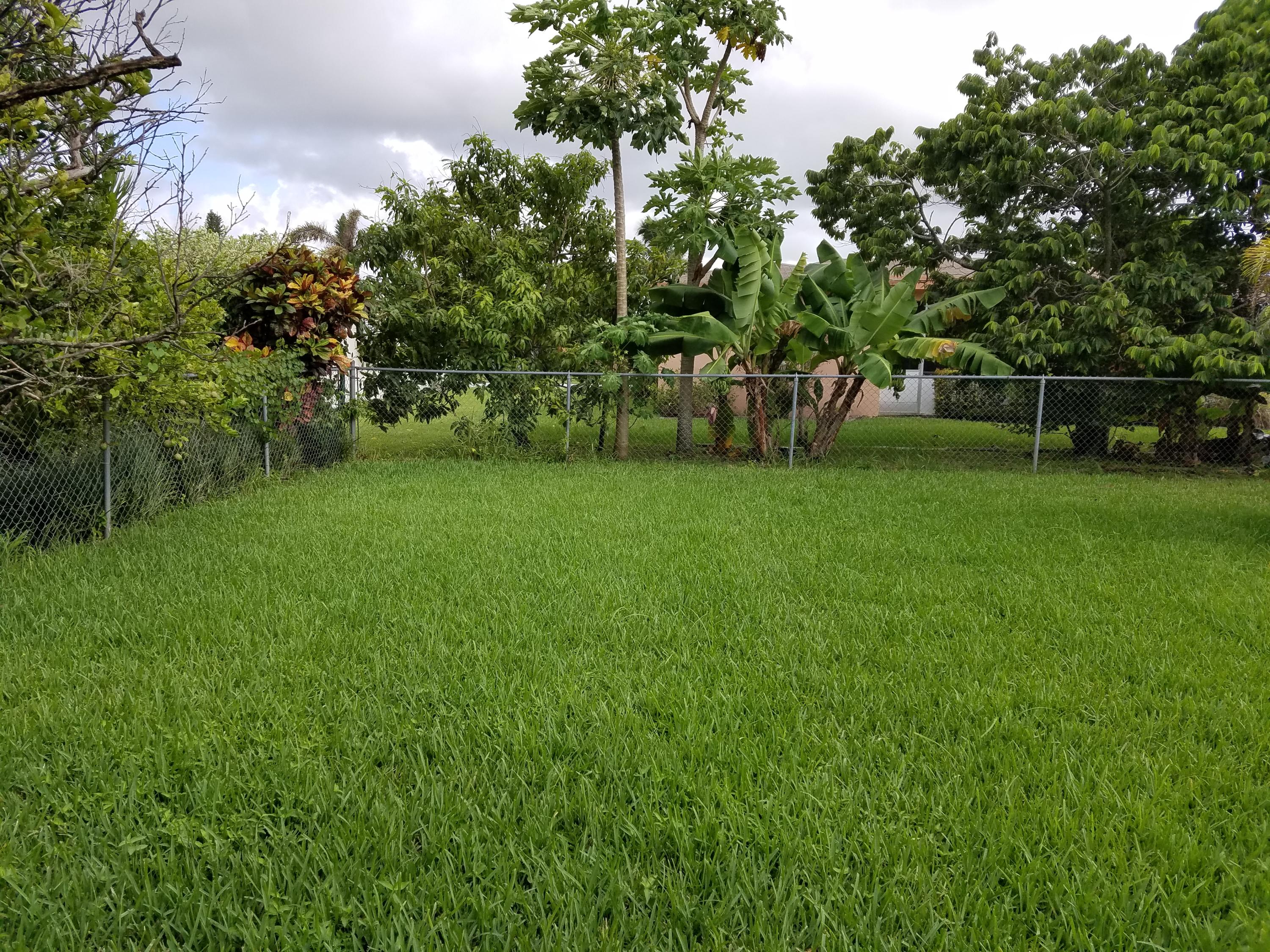 11143 Median Street Boca Raton, FL 33428 - Photo 33 of 33 Backyard