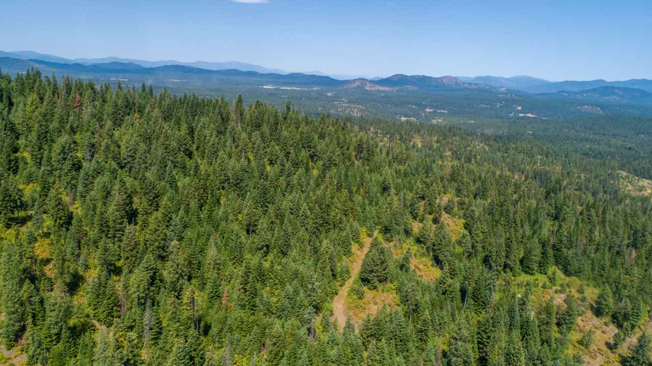 902 Lillijard Road Newport, WA 99156 - Photo 14 of 43 Gallery Image 14
