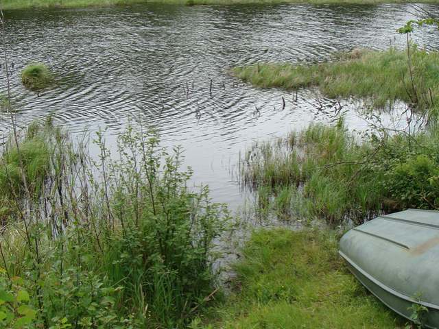 Off Pine Lake Road Tripoli, WI 54564 - Photo 10 of 18 Gallery Image 10
