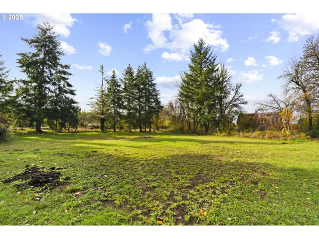 a big yard with lots of green space