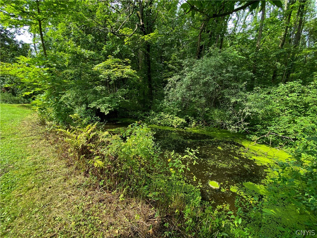 31 Emery Road Mexico, NY 13114 - Photo 42 of 45