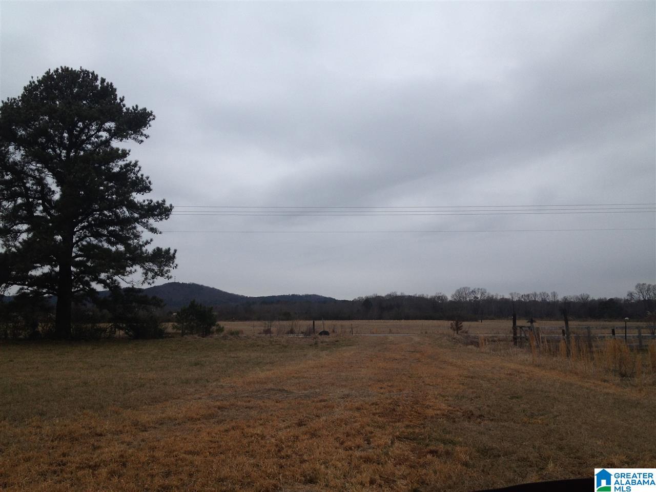 166 The Wagon Road Piedmont, AL 36272 - Photo 1 of 3