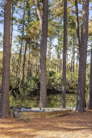 $10,000 | 1770 Omni Boulevard, Mount Pleasant, SC 29466