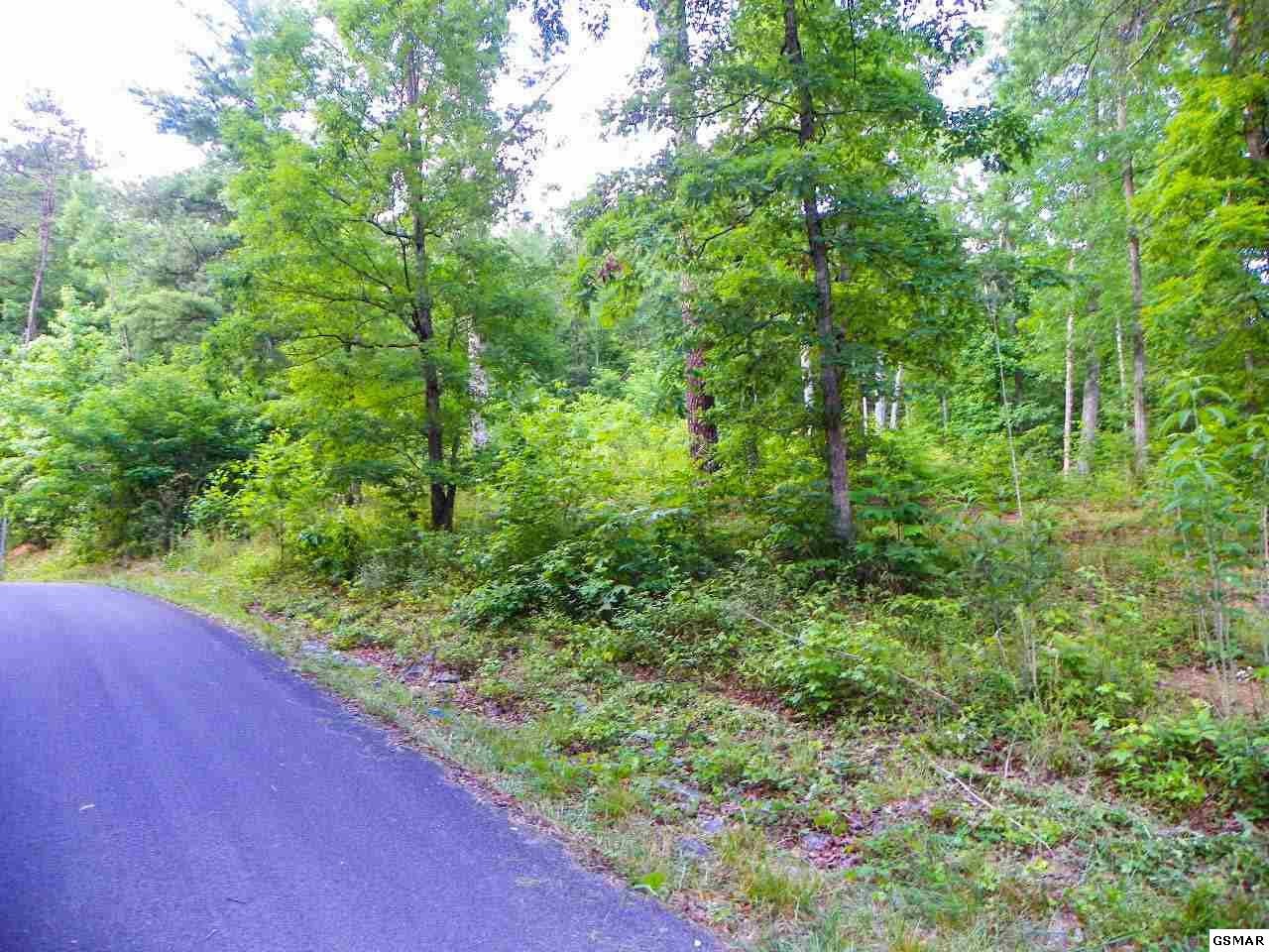 Gallery Image 7
