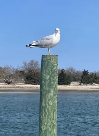 $679,000 | 22 Bucknell Lane, Stony Brook, NY 11790