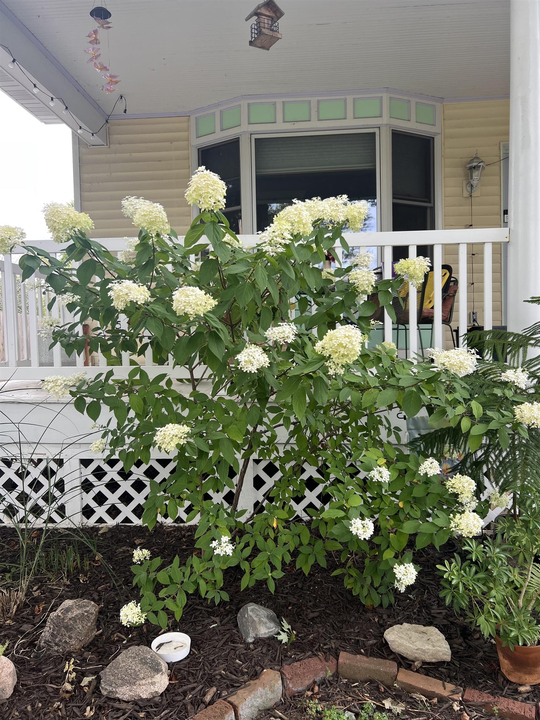 517 South Locust Street Appleton, WI 54914 - Photo 40 of 42