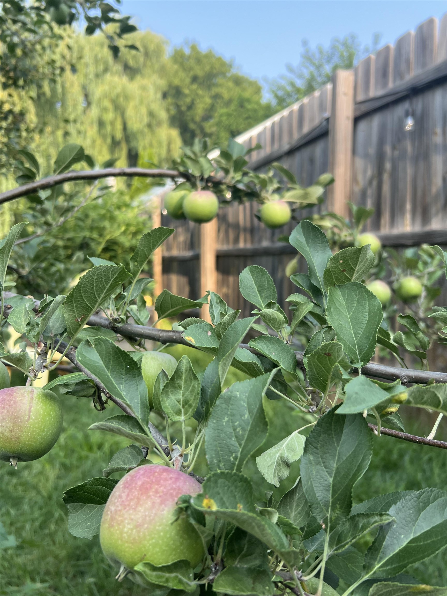 517 South Locust Street Appleton, WI 54914 - Photo 41 of 42