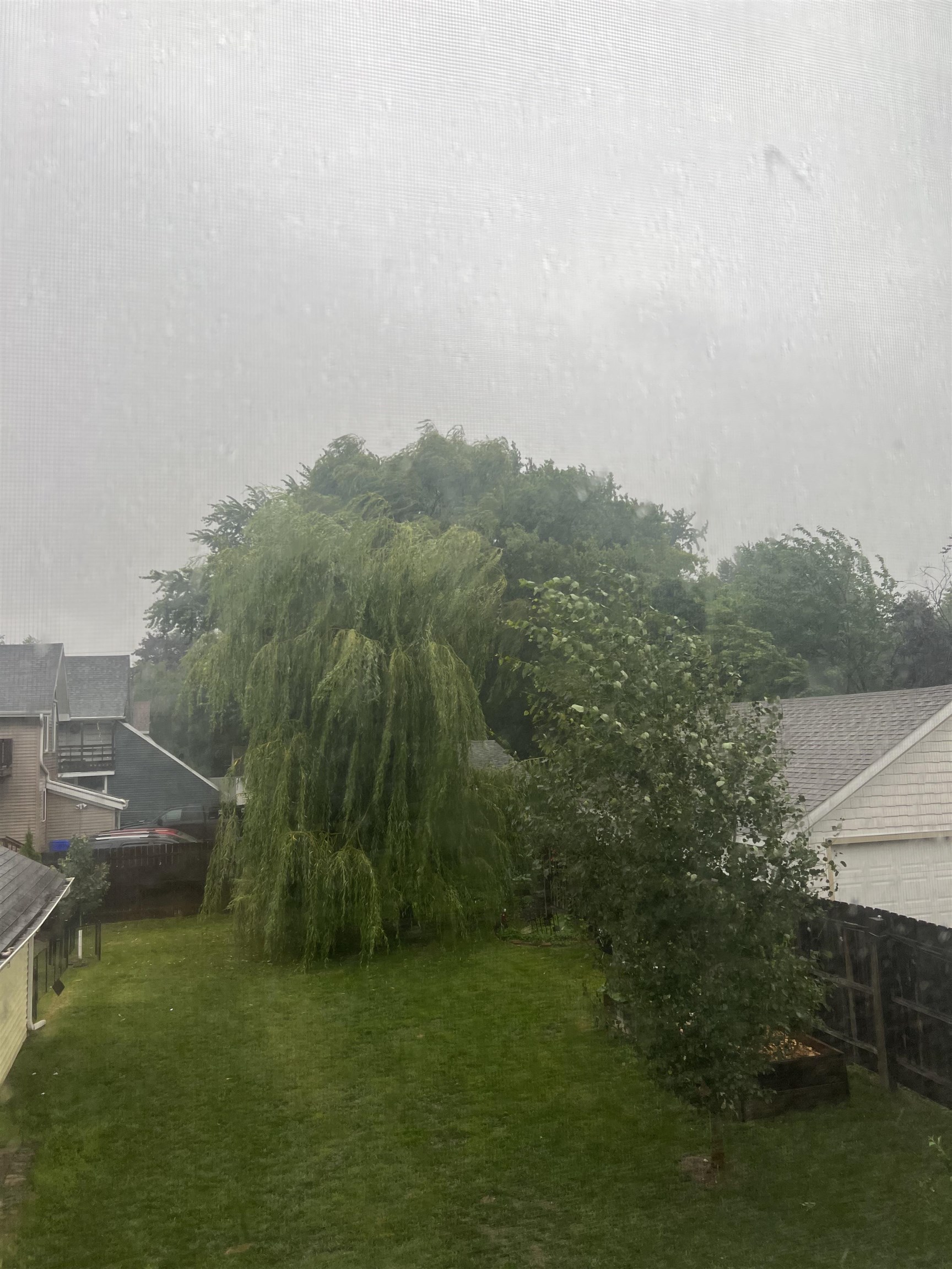 517 South Locust Street Appleton, WI 54914 - Photo 42 of 42