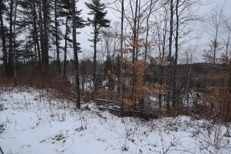 613 Back Road Skowhegan, ME 04976 - Photo 16 of 17 DSC_0075