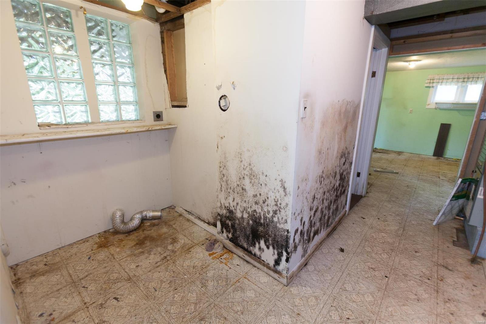 1097 Stein Road St. Louis, MO 63135 - Photo 22 of 42 Gallery Image 22