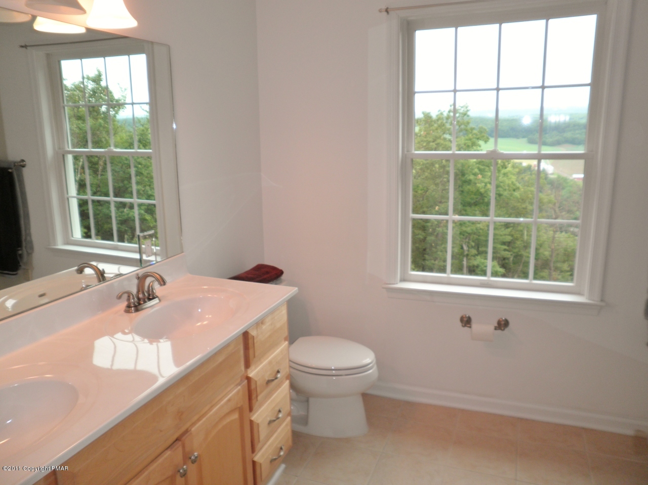 22 Turkey Ridge Kunkletown, PA 18058 - Photo 16 of 29 Master Bath w/ Double Sinks & View