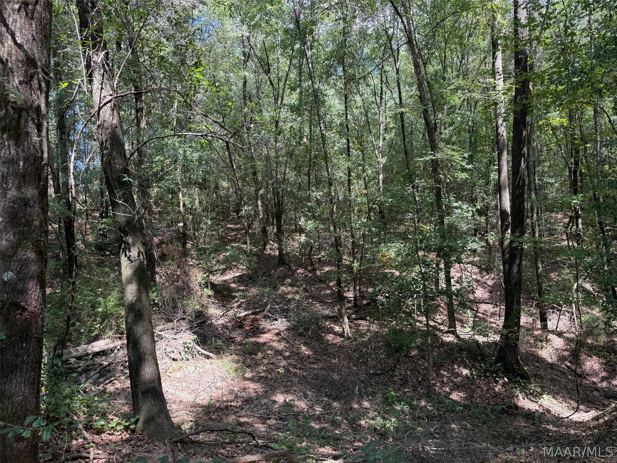 0 County Road 79 Road Billingsley, AL 36006 - Photo 12 of 14 Gallery Image 12