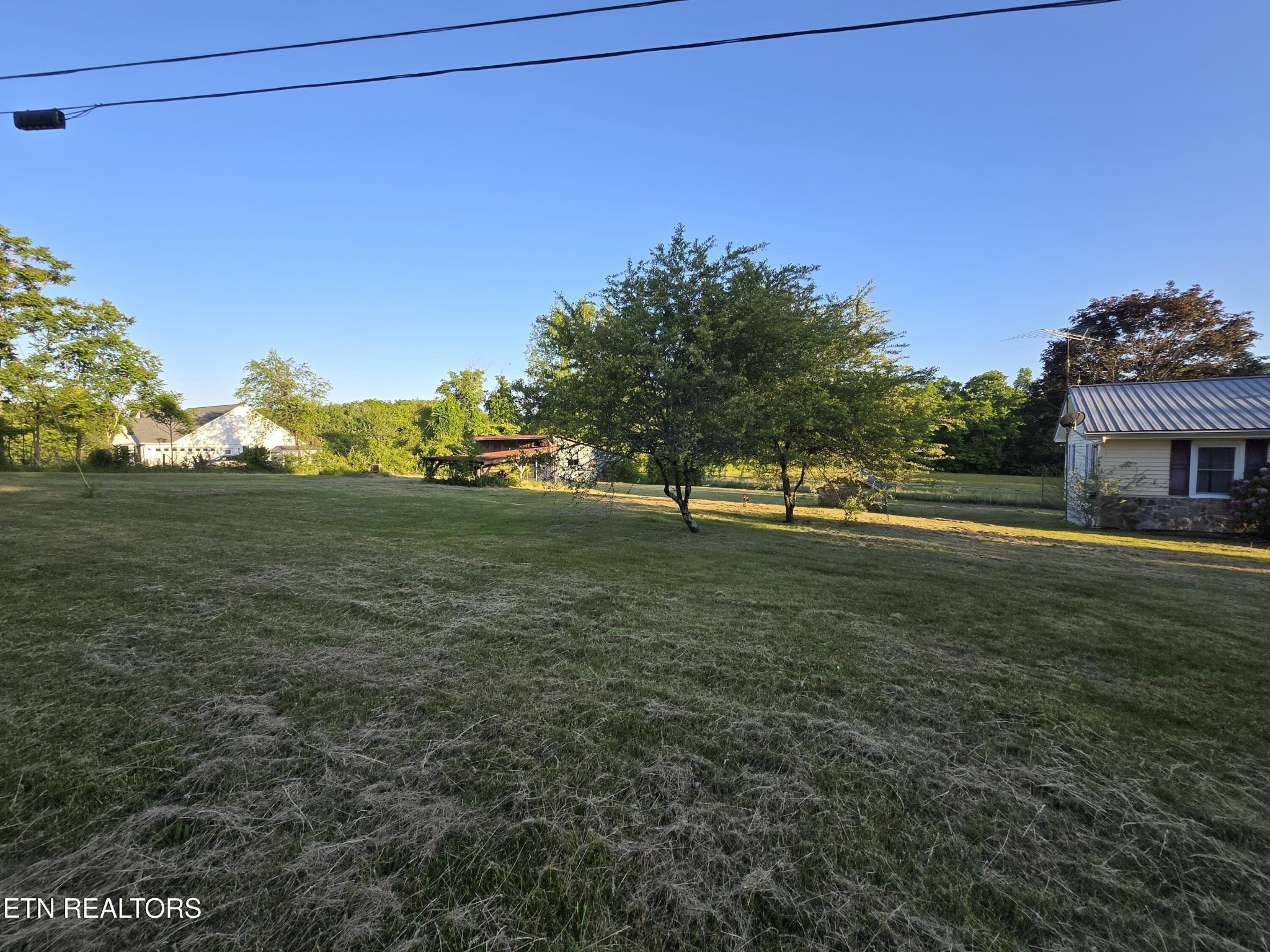 295 Bilbrey Road Crossville, TN 38571 - Photo 27 of 32 a view of a field with a tree