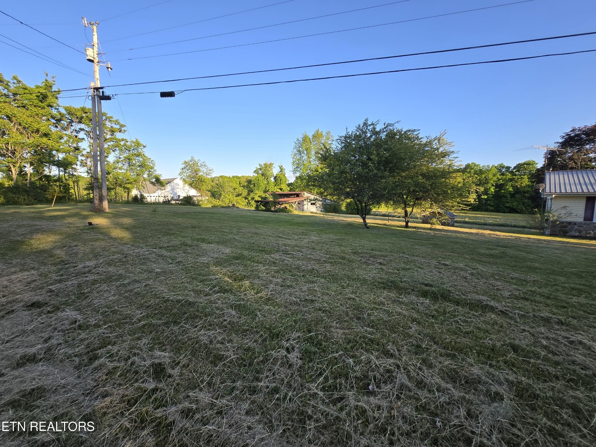 295 Bilbrey Road Crossville, TN 38571 - Photo 29 of 32 a view of a field with an trees