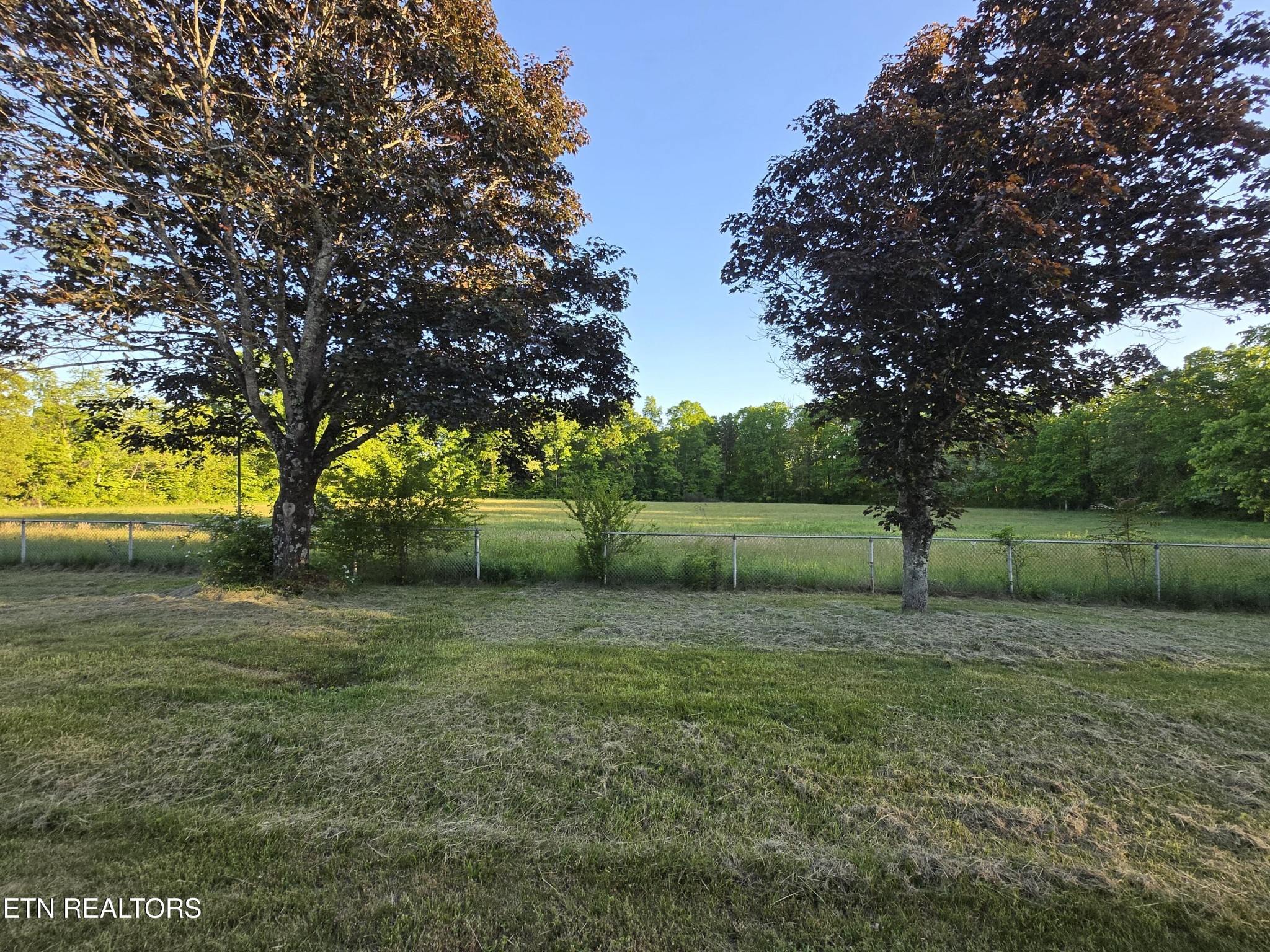 295 Bilbrey Road Crossville, TN 38571 - Photo 3 of 32 a view of a field with trees