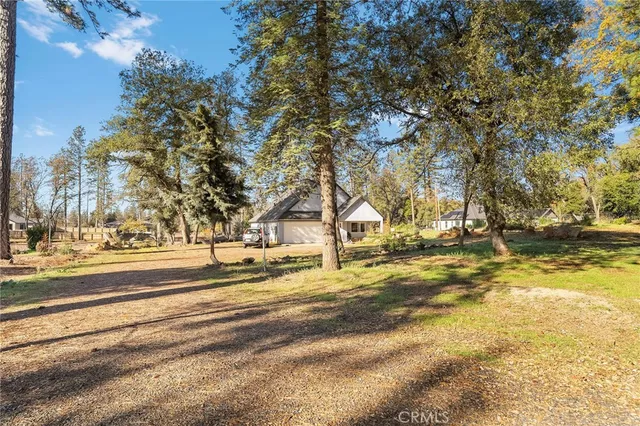 a white house with a large tree in front of it