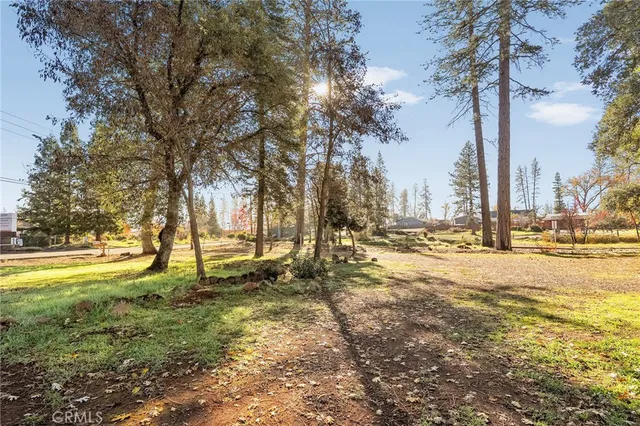 a view of yard with trees