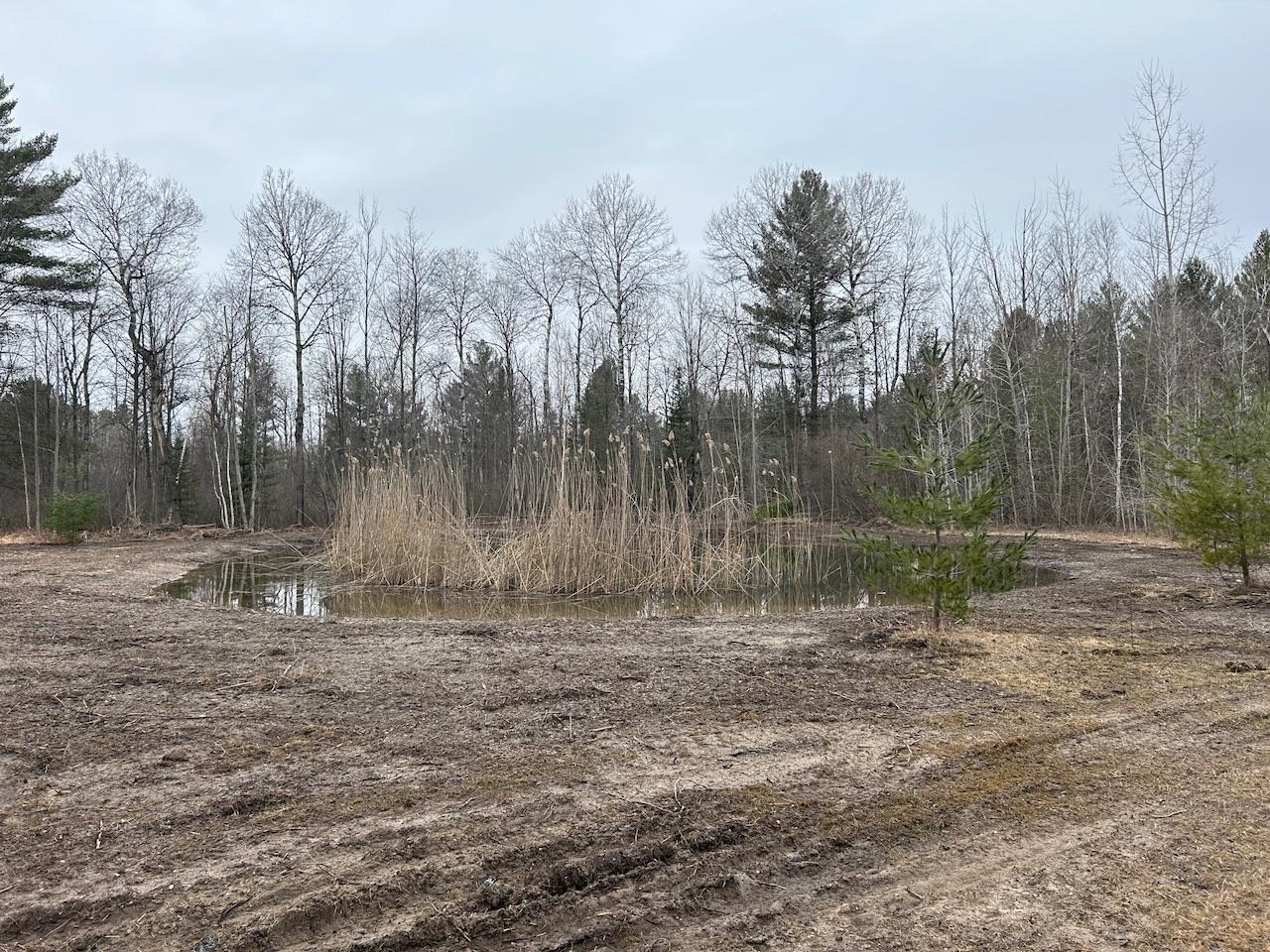 19.2 Acres W M61 Road Gladwin, MI 48624 - Photo 16 of 17