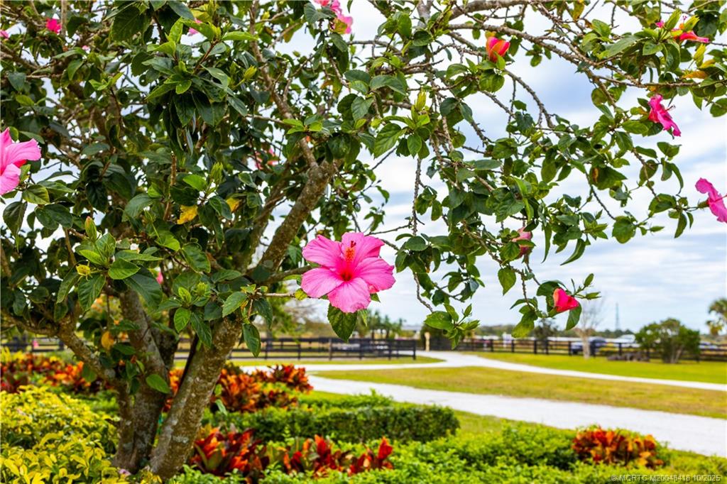 7625 Polo Square Vero Beach, FL 32968 - Photo 12 of 35 a view of a flower in a garden