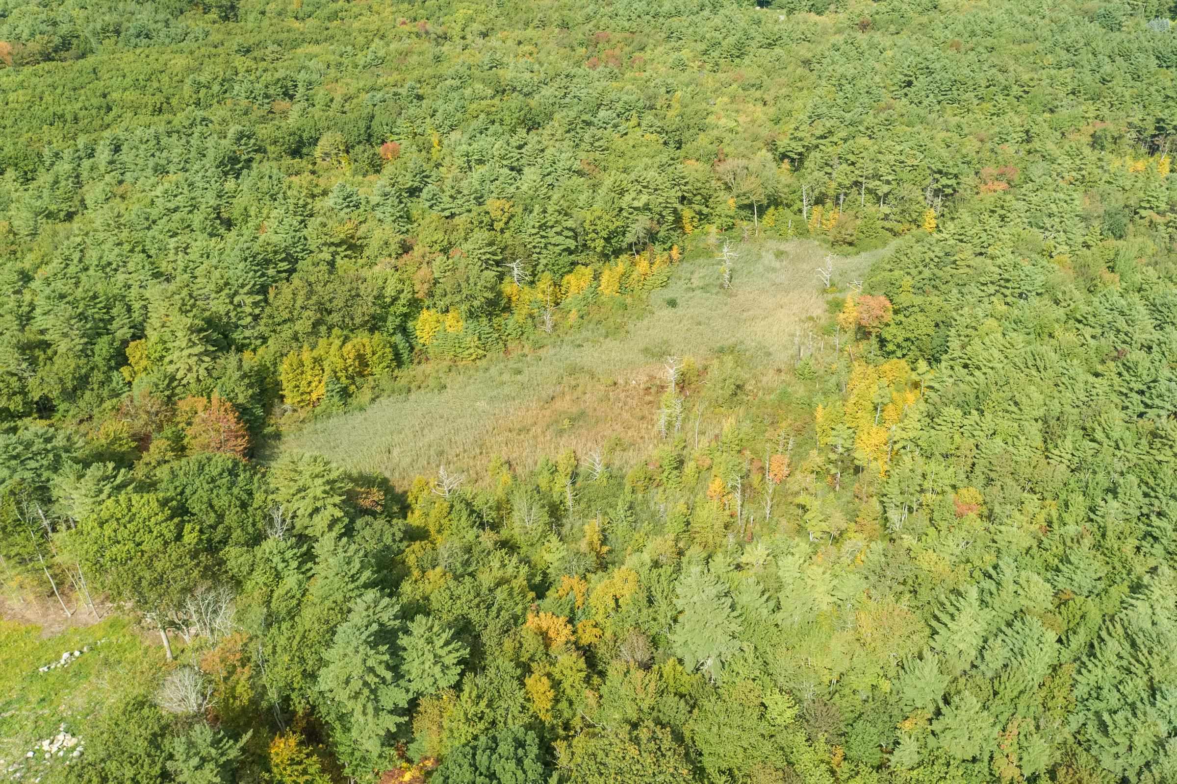 80 Woodland Road North Hampton, NH 03862 - Photo 4 of 59