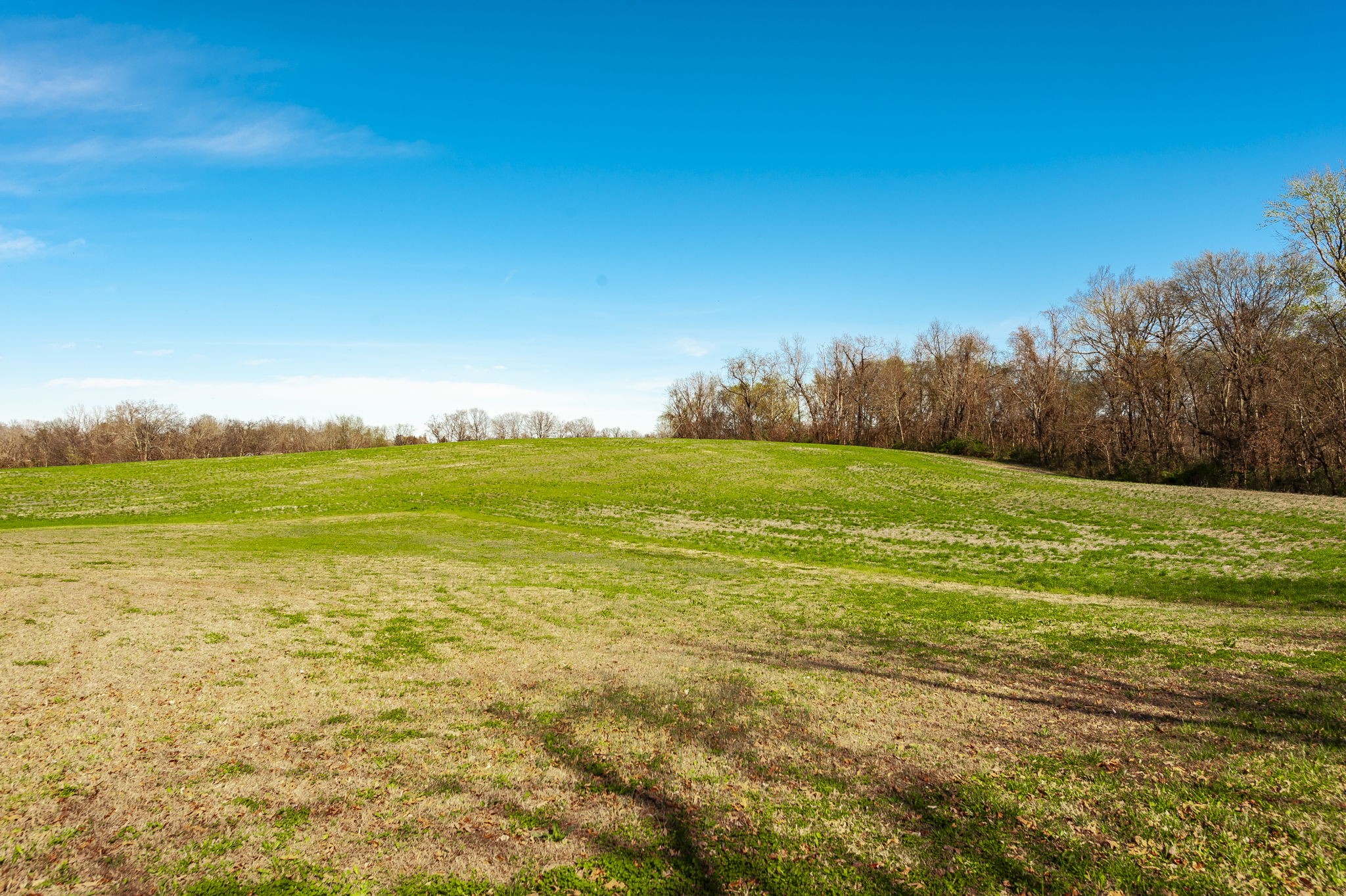 223 Cedar Hill Road Adams, TN 37010 - Photo 51 of 51 a view of an ocean from a yard