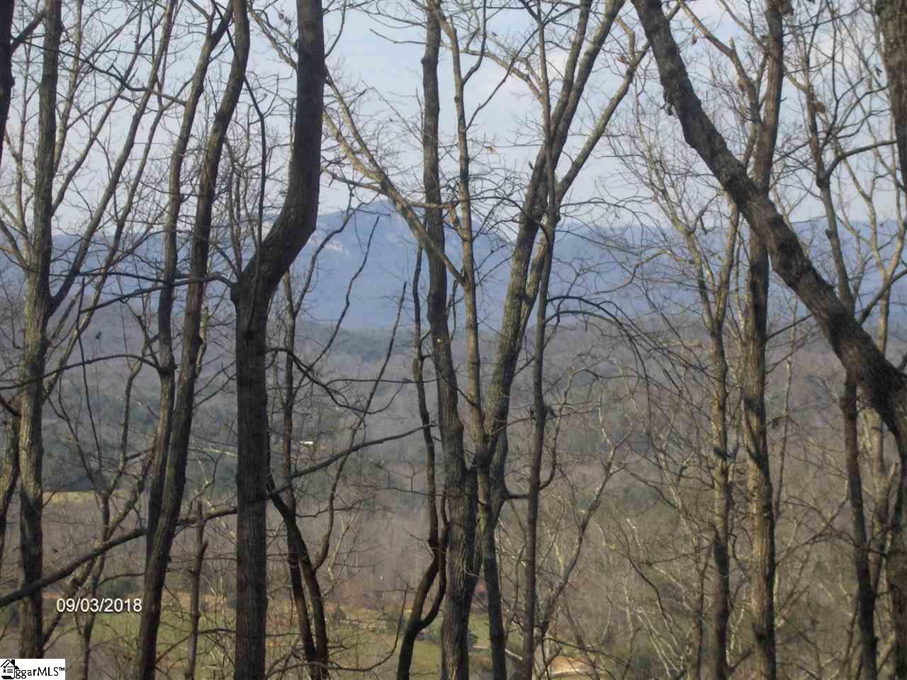 372 Ossie Hayes Road Pickens, SC 29671 - Photo 1 of 3