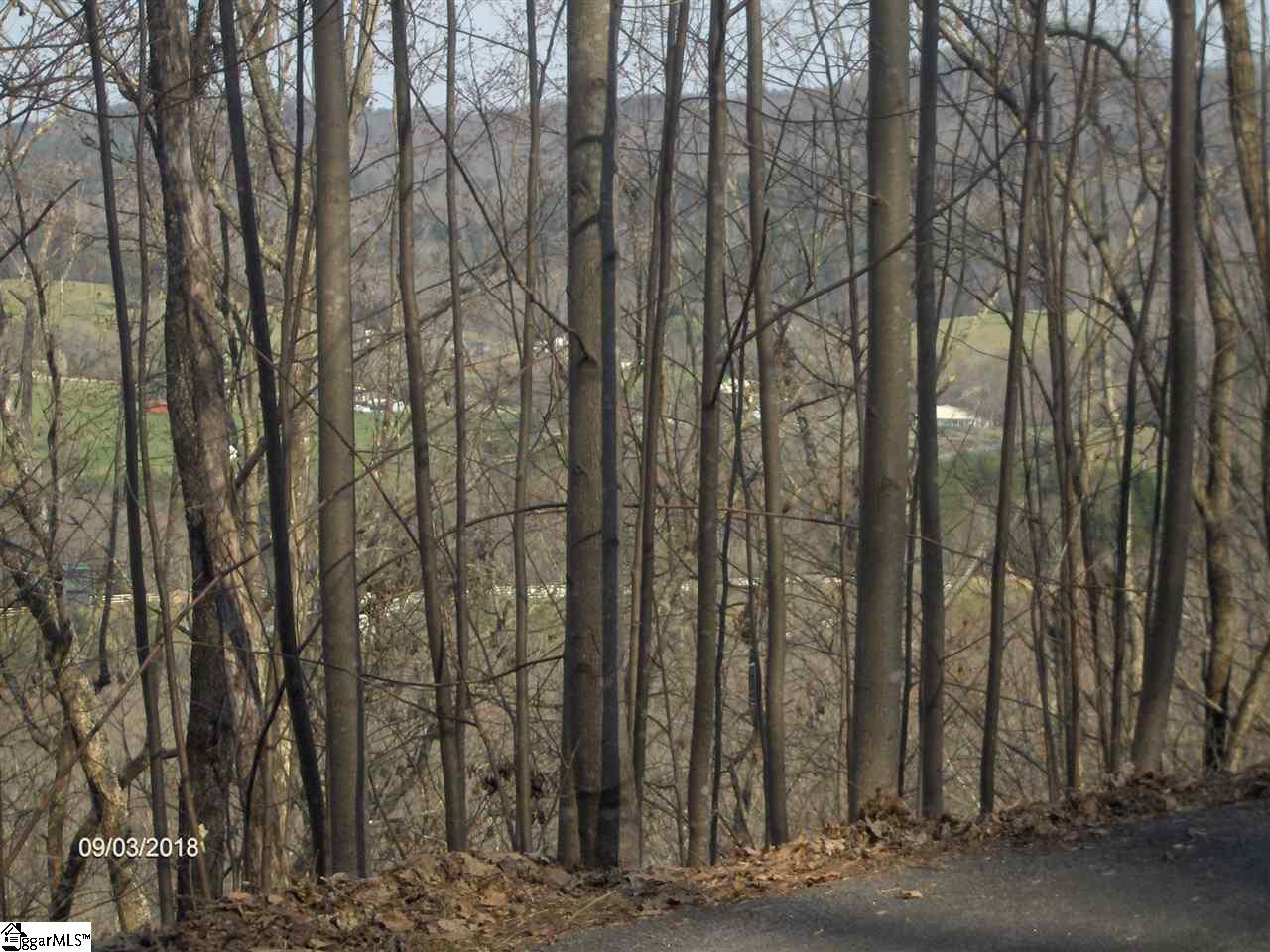 372 Ossie Hayes Road Pickens, SC 29671 - Photo 2 of 3