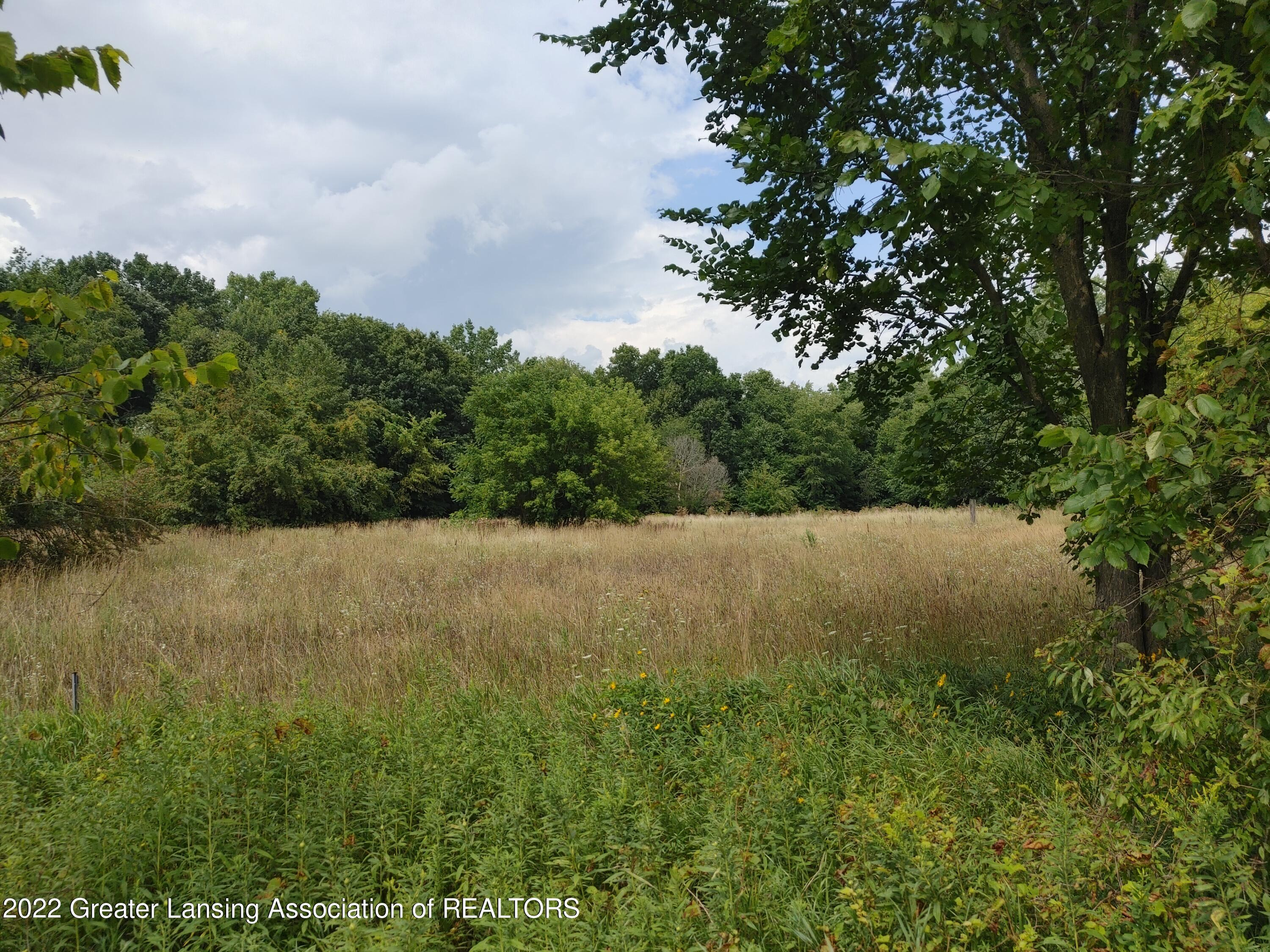 Vl Murray Road Dansville, MI 48819 - Photo 1 of 10 Welcome!