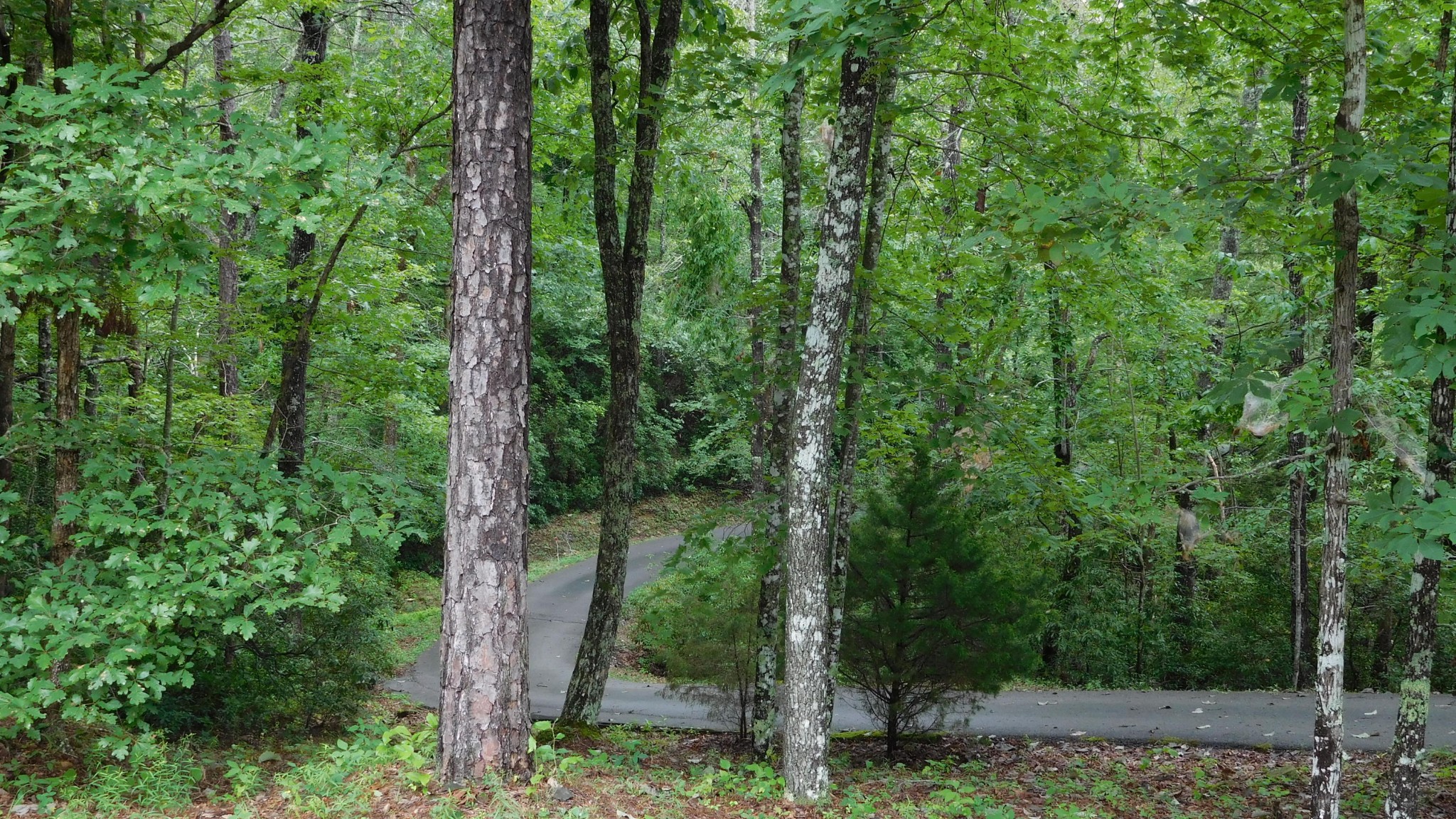 919 Reeves Road, Unit 8 Monterey, TN 38574 - Photo 25 of 26 Gallery Image 25