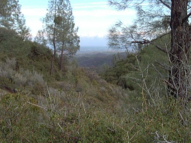 Hammer Loop Road Red Bluff, CA 96080 - Photo 1 of 4 a view of a lake with a forest