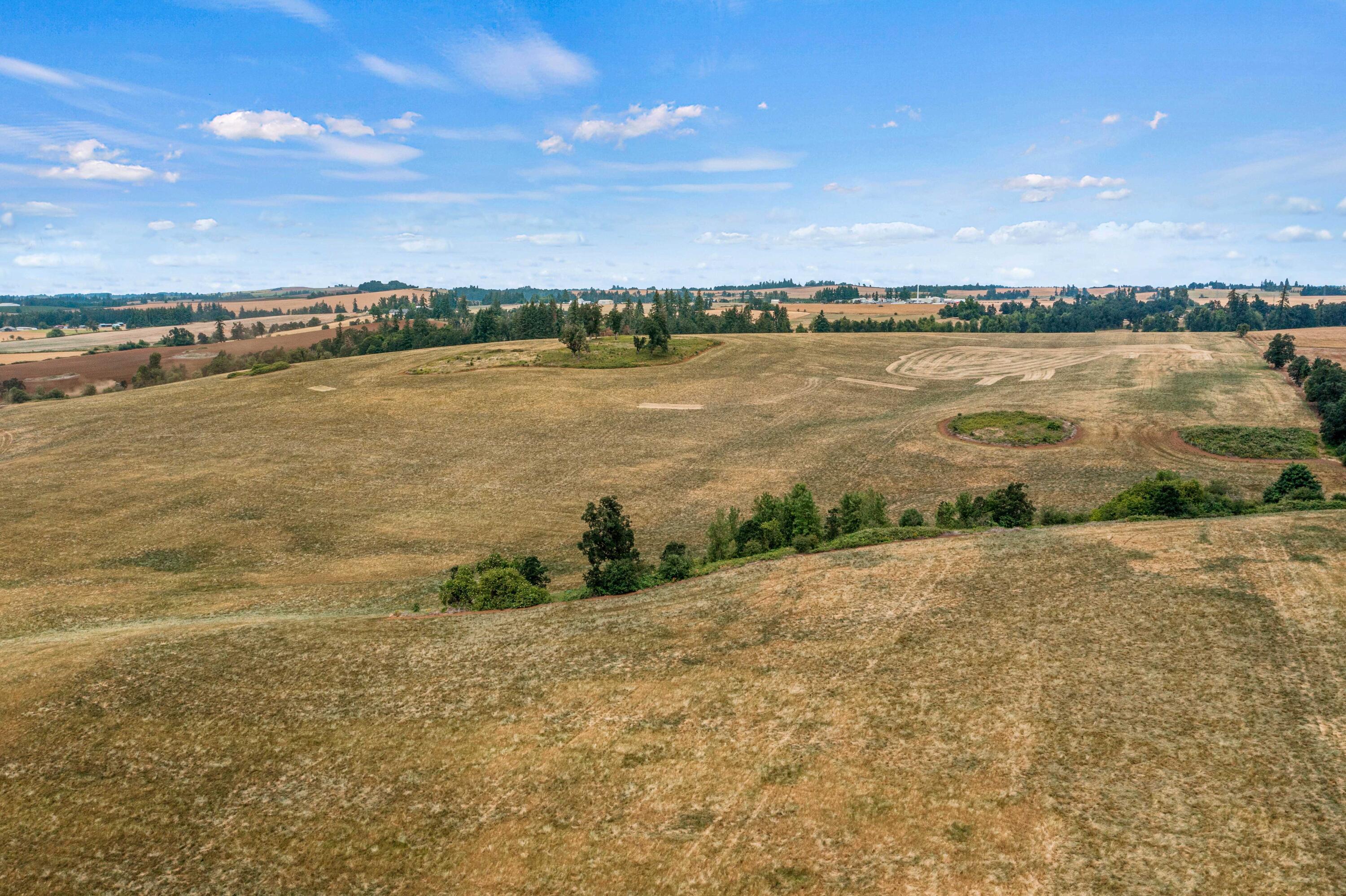 Anderson Road Northeast, Unit 100 Sublimity, OR 97385 - Photo 23 of 24 22DJI_0243