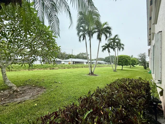 a view of a park with palm trees