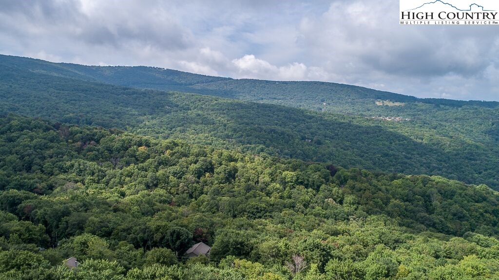 311 Pinnacle Ridge Road Beech Mountain, NC 28604 - Photo 16 of 29