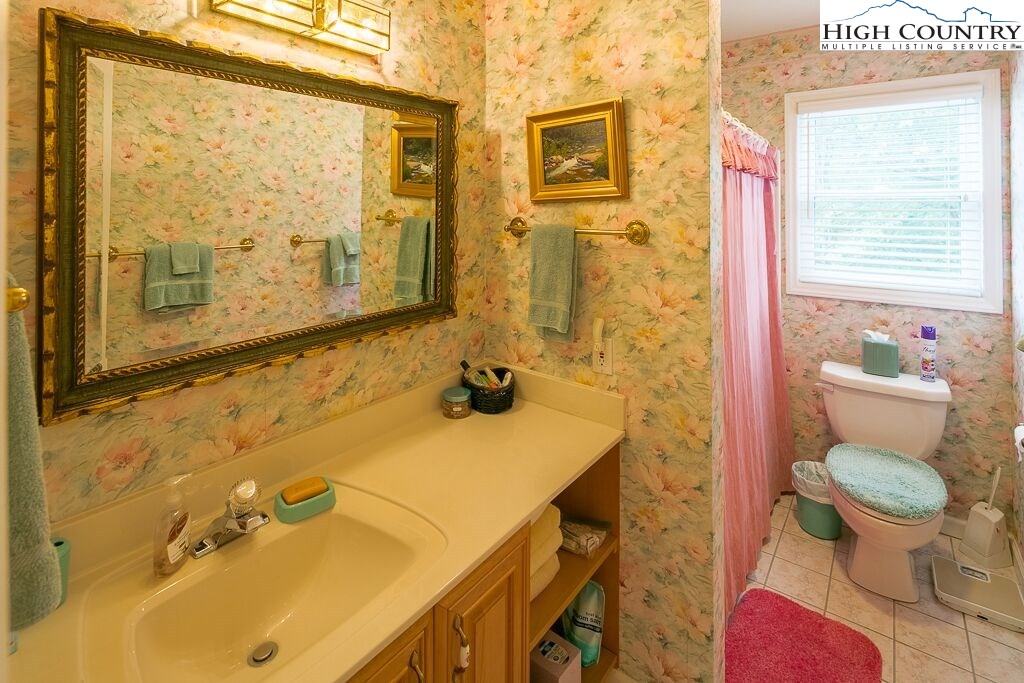 311 Pinnacle Ridge Road Beech Mountain, NC 28604 - Photo 24 of 29