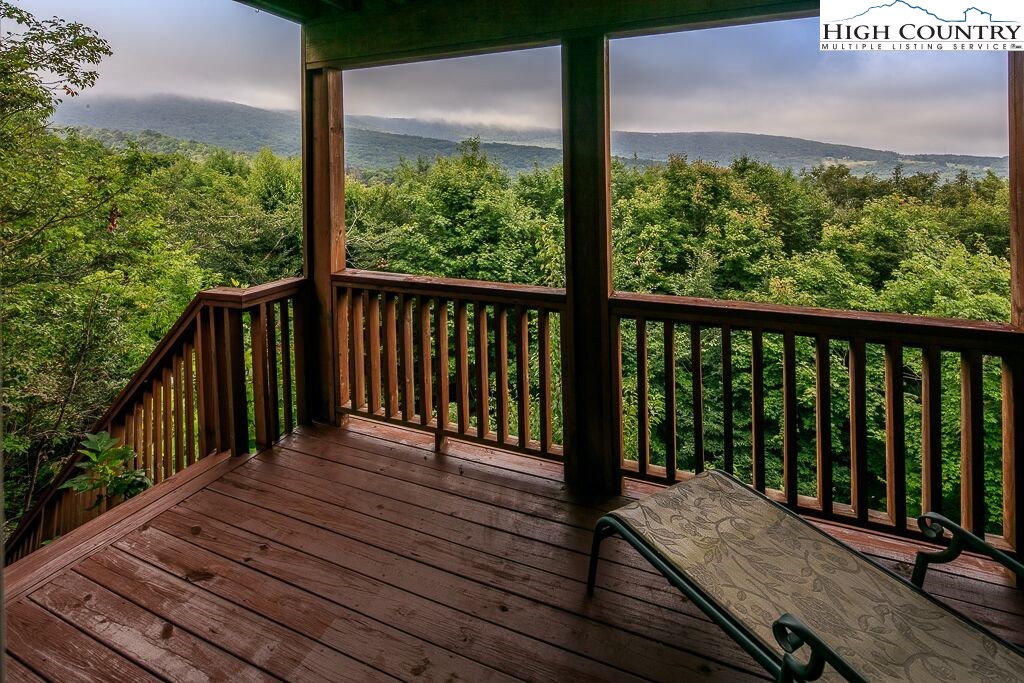 311 Pinnacle Ridge Road Beech Mountain, NC 28604 - Photo 28 of 29