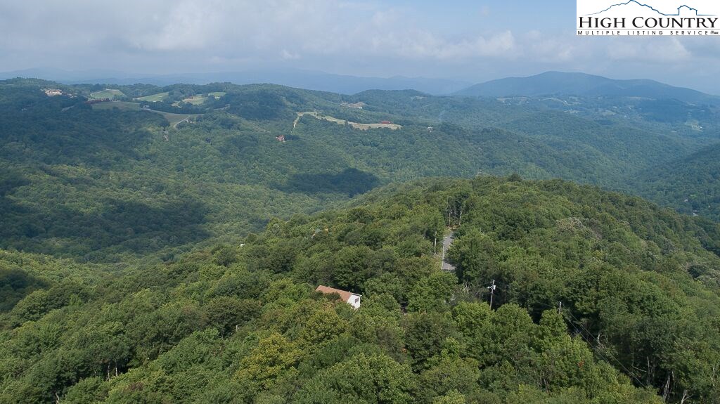 311 Pinnacle Ridge Road Beech Mountain, NC 28604 - Photo 3 of 29