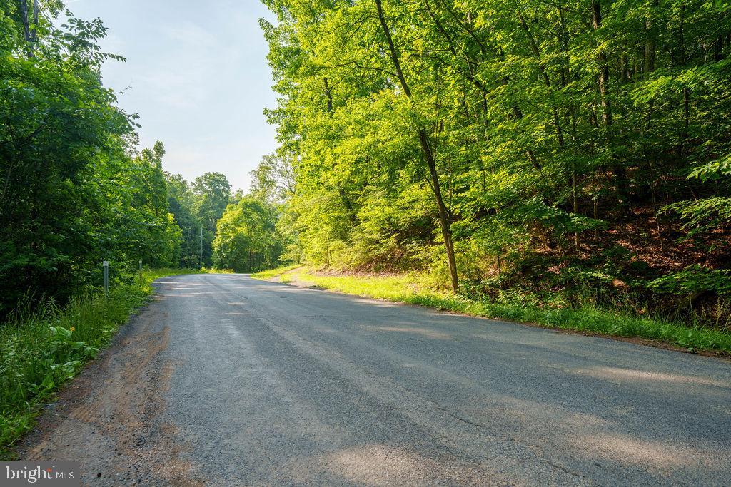 Pack Horse Road Winchester, VA 22603 - Photo 6 of 15