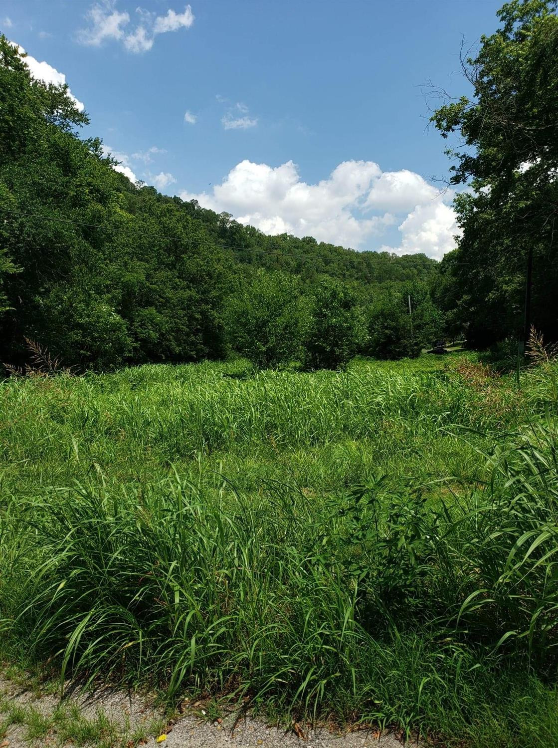 8100 Camp Nelson Road Nicholasville, KY 40356 - Photo 38 of 42 Photo 38