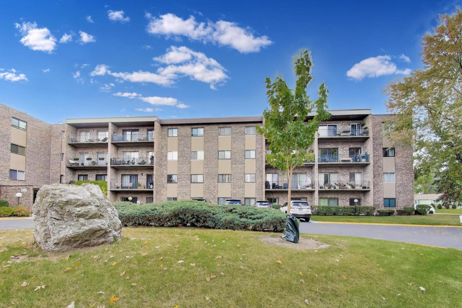 725 West Huntington Commons Road, Unit 217 Mount Prospect, IL 60056 - Photo 3 of 23