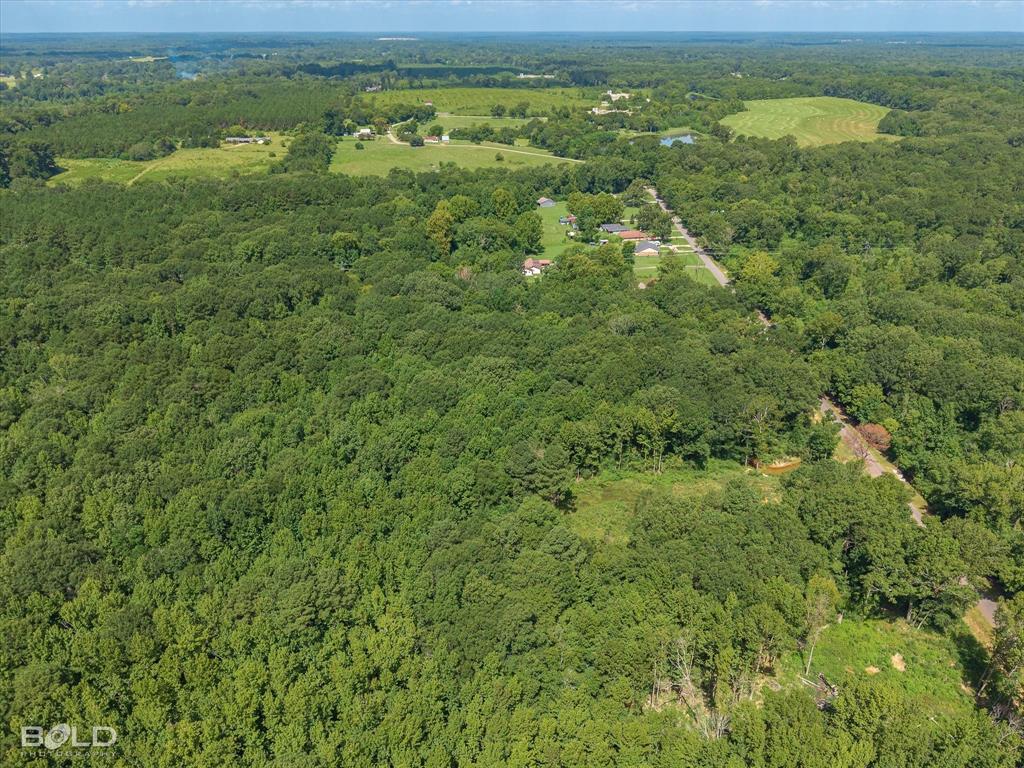 0 Bledsoe Road Keithville, LA 71047 - Photo 12 of 12 View of property location with a heavily wooded area