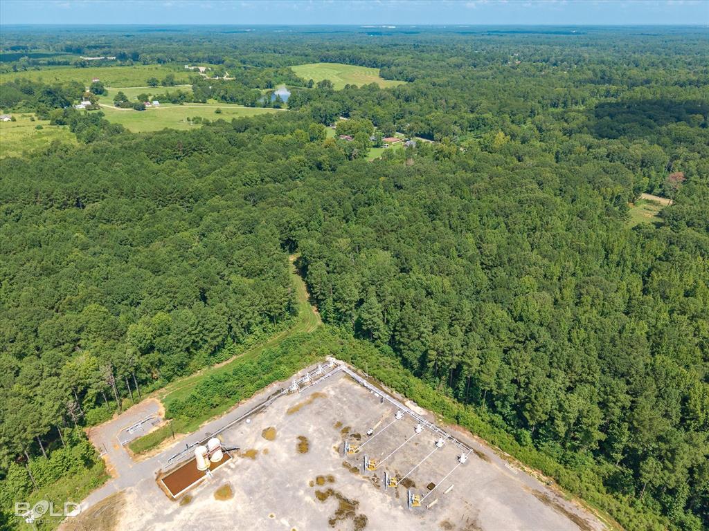 0 Bledsoe Road Keithville, LA 71047 - Photo 10 of 12 Drone / aerial view of a heavily wooded area