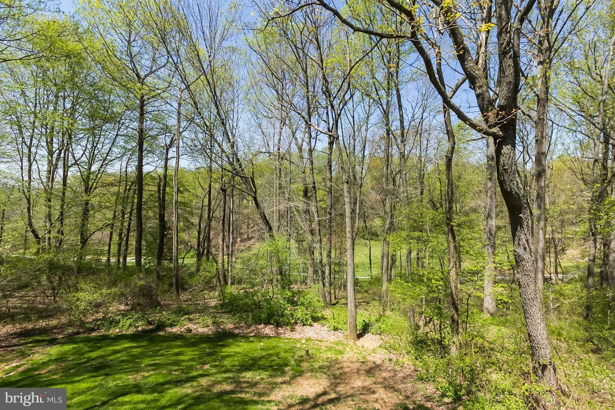 2118 Highland Ridge Drive Phoenix, MD 21131 - Photo 25 of 29 View from back deck